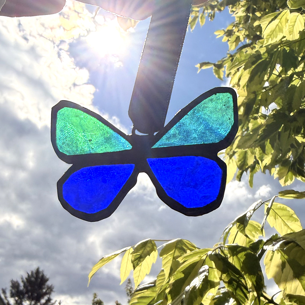 dkbluebutterflyorn1s